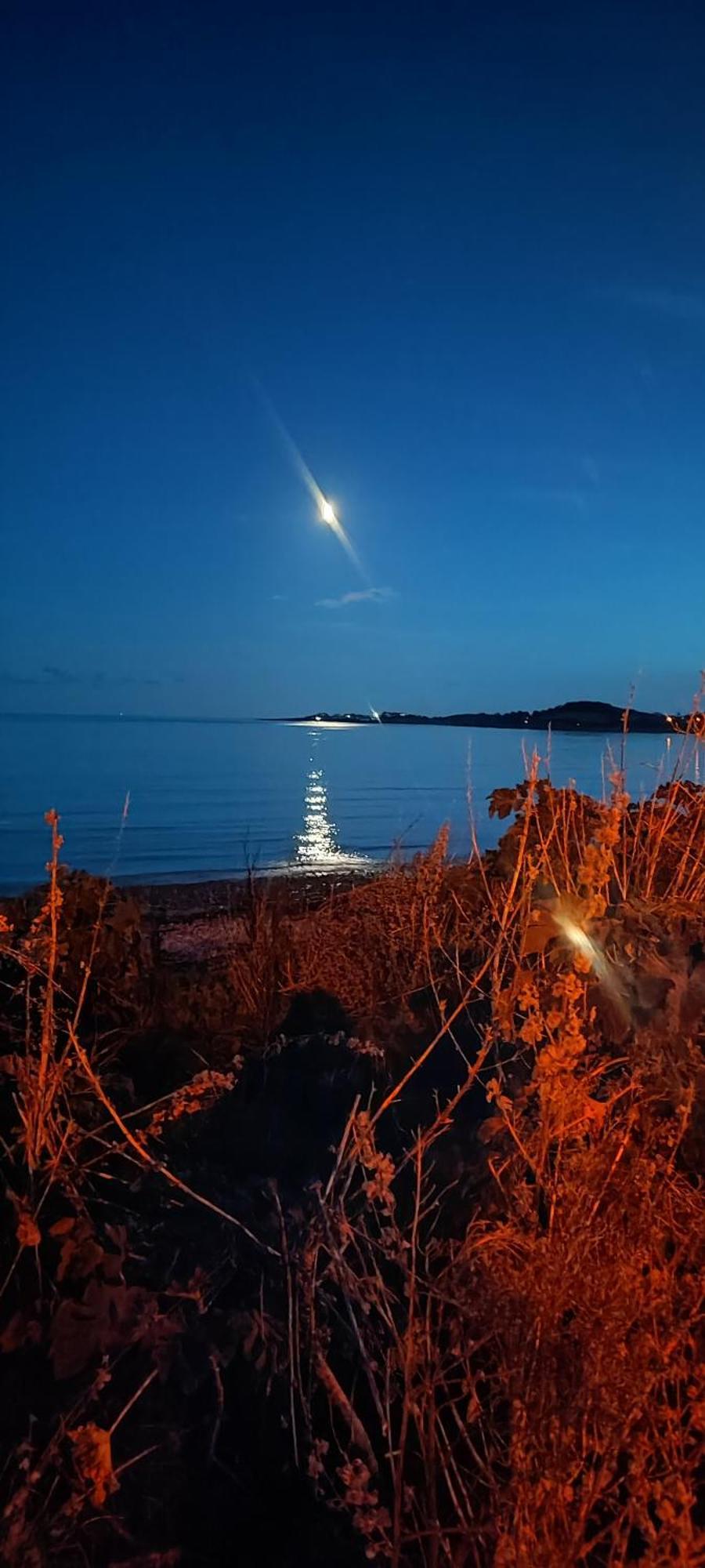 Apartmán Horse Island View Luxury Retreat Kircubbin Exteriér fotografie